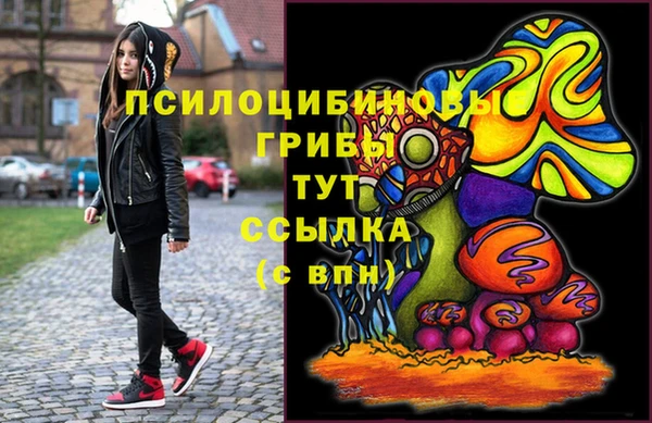 твердый Алексин