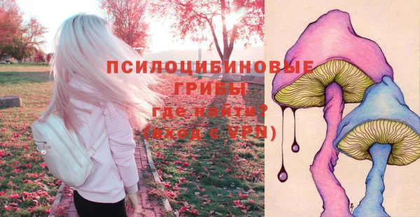 твердый Алексин