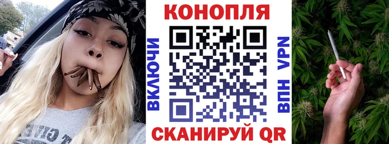 где купить   Змеиногорск  Бошки марихуана MAZAR 